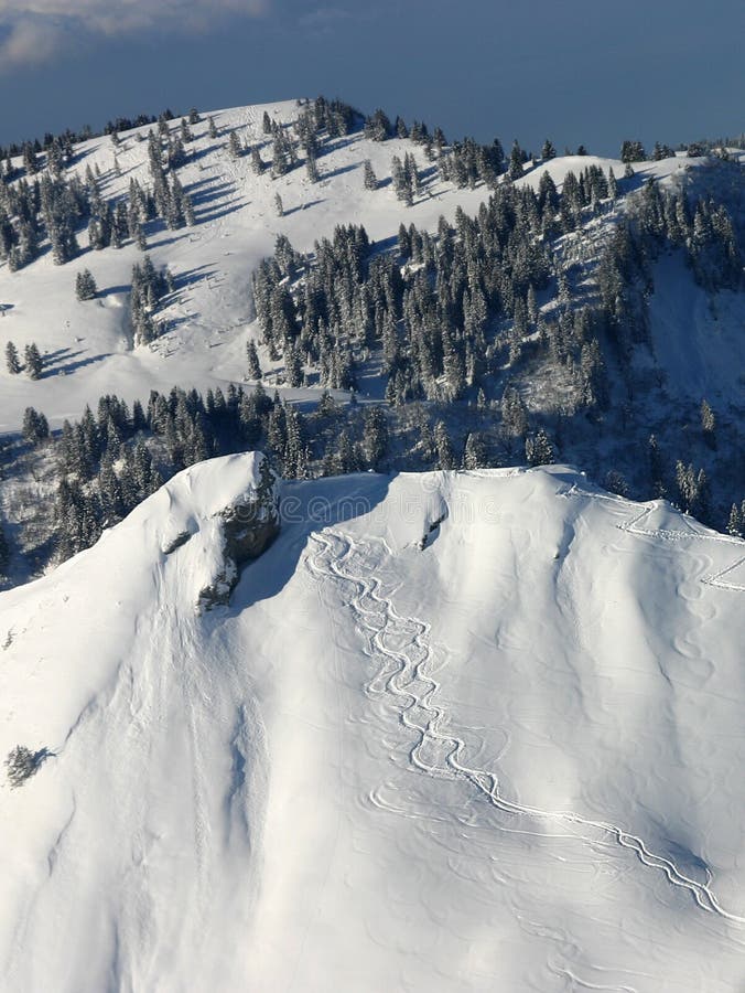 Tracks in the snow