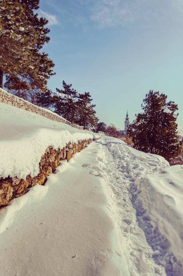 Tracks in the snow stock photo. Image of forest, winter 82757364