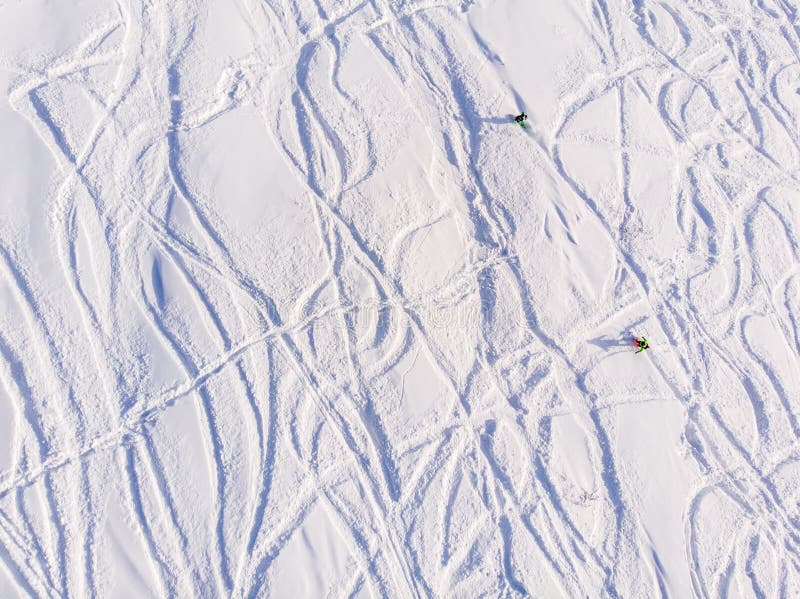 Tracks in winter snow from downhill skis and snowboards in forest. Concept freeride