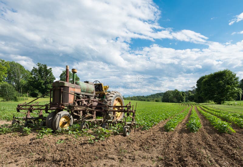 Tracteur de vintage dans le domaine de ferme avec des cultures images stock Tracteur de vintage dans le domaine de ferme avec des cultures images stock