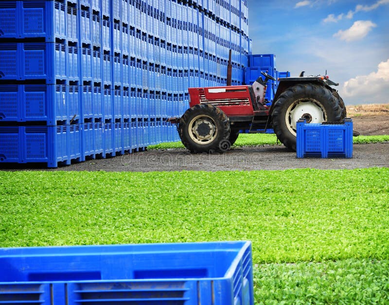Tractor agriculture farm stock photo Tractor agriculture farm stock photo