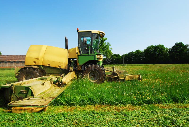Tractor Cutting Grass Meadow Stock Photo Image of machine, grassland
