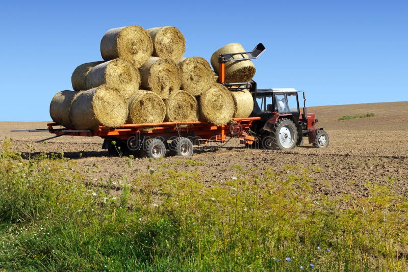 Tractor driven straw bales stock photo. Image of ground 98078816