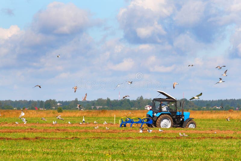 Tractor on a farmer field stock image