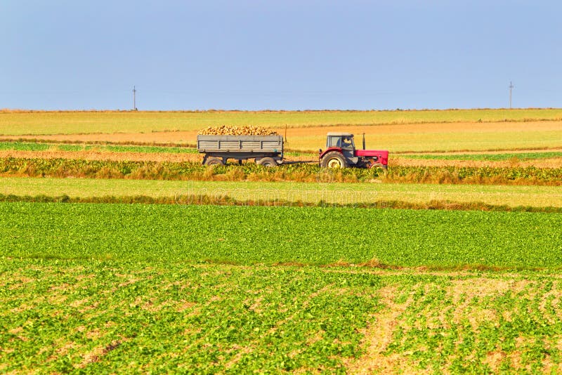 Tractor in a farmer field royalty free stock photos