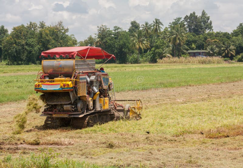 A Tractor Harvesting the Crops Stock Photo Image of farming