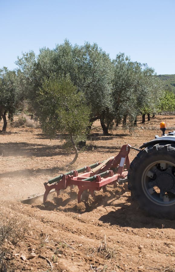 Tractor and olive trees stock image. Image of rural 137936405