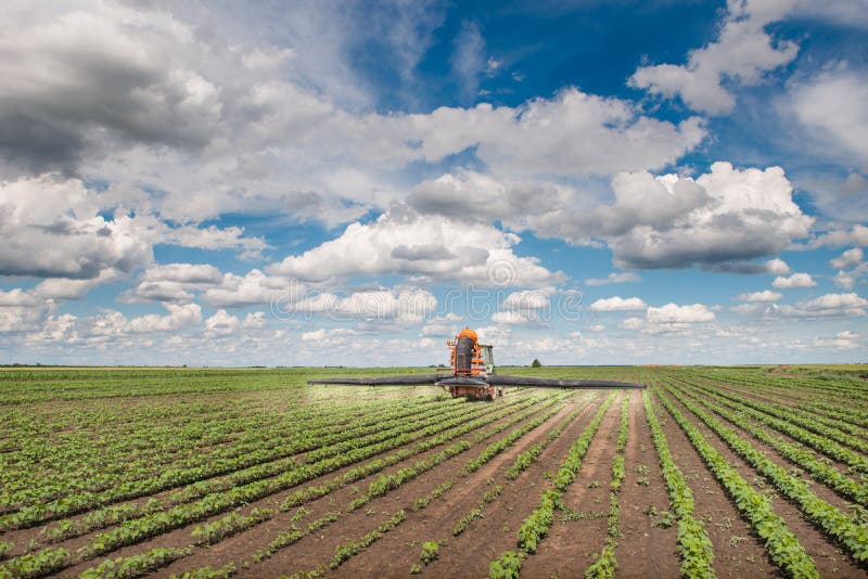 Tractor spraying a crop field