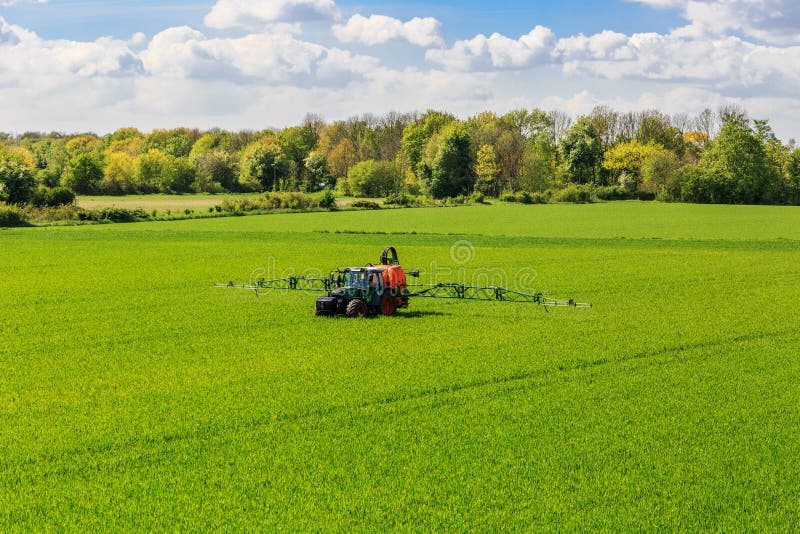 Postřik pesticidy na kukuřice.