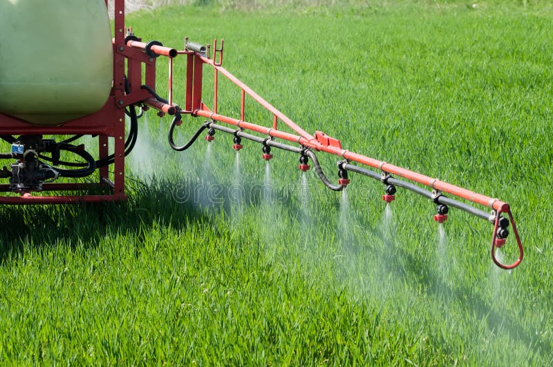 Tractor spraying herbicide over wheat field with sprayer. Agriculture, farming, GMO, pollution, contamination and environment concepts