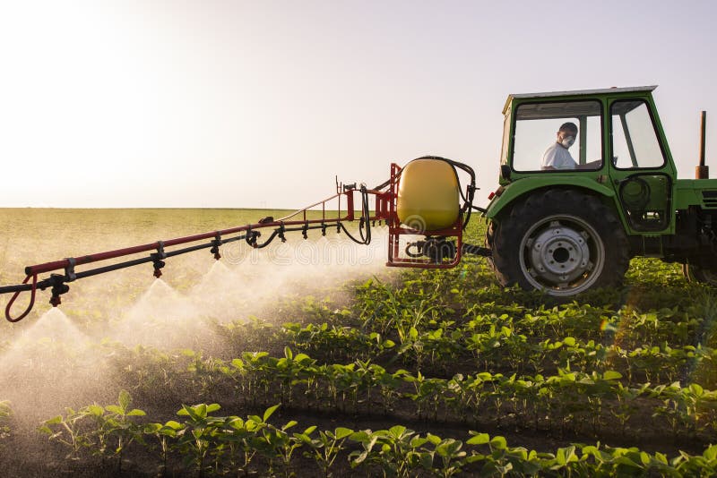 Tractor spraying soy field in sunset