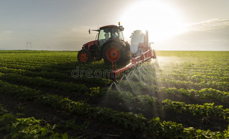 Tractor spraying soy field in sunset