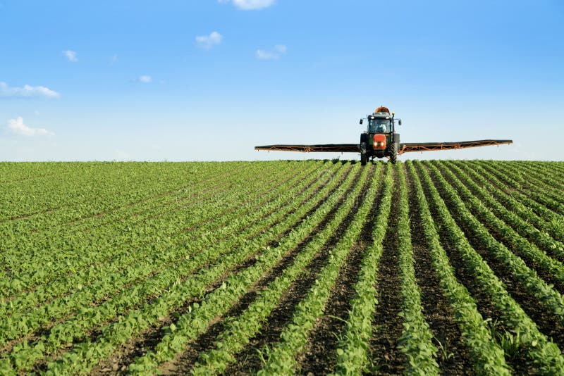 Tractor spraying soybean crop field stock images Tractor spraying soybean crop field stock images