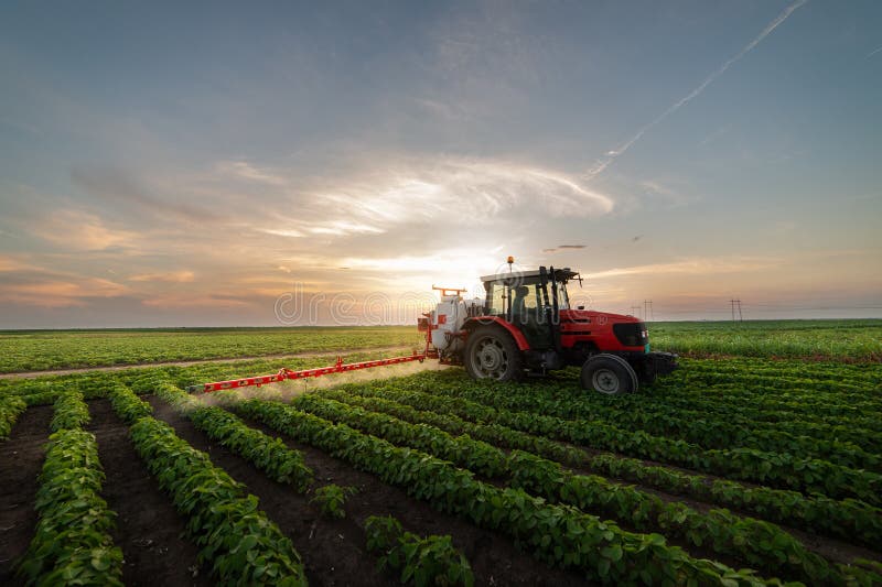 Tractor spraying soybean field