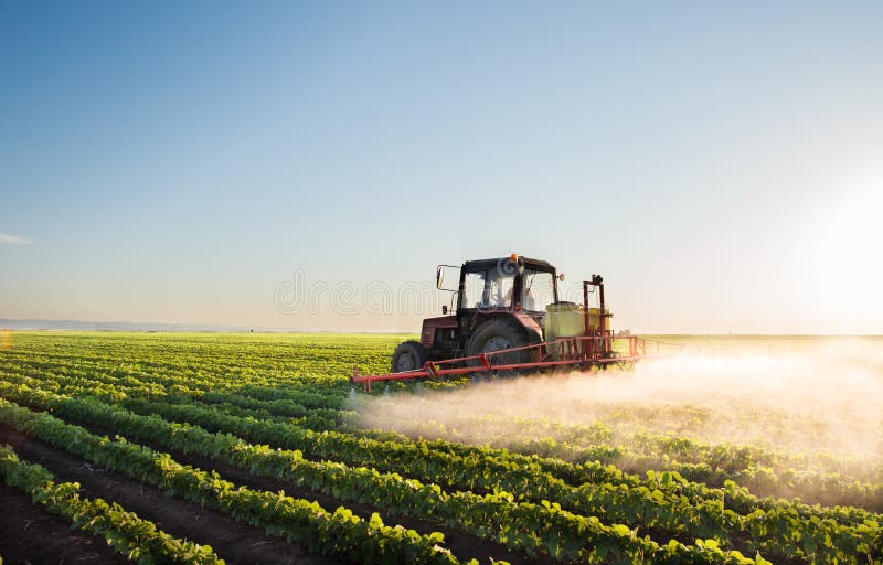 Tractor spraying soybean field