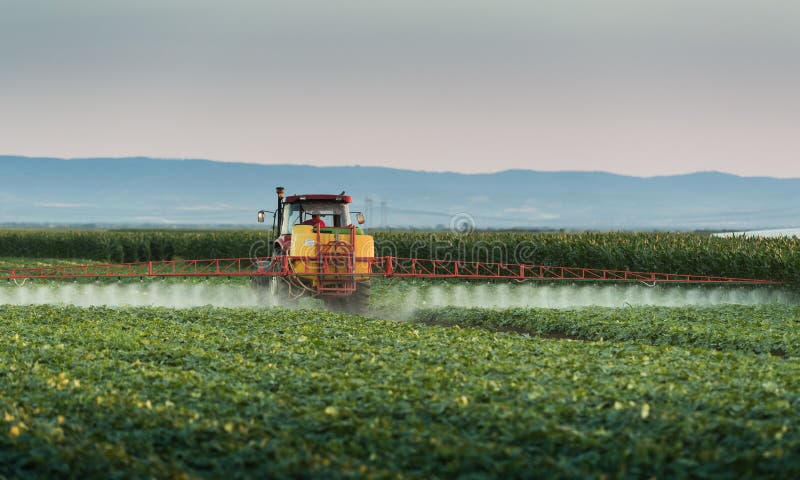 Tractor spraying vegetable field at spring