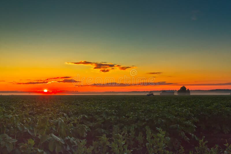 Tractor And Sunset. A lonely old tractor stands on the potato fields on a beautiful summer night in the Northern Finland stock photography Tractor And Sunset. A lonely old tractor stands on the potato fields on a beautiful summer night in the Northern Finland stock photography