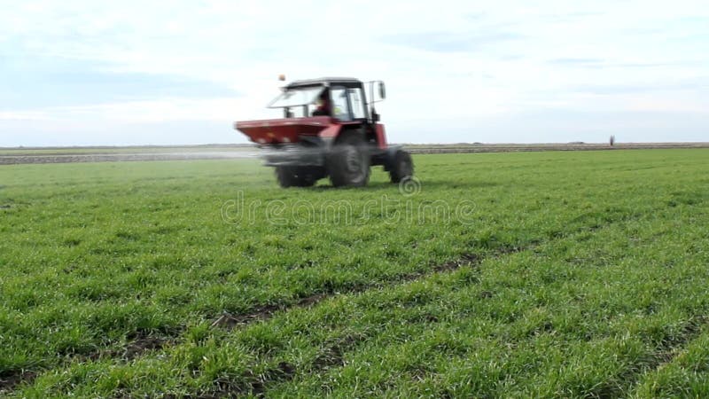 Tractor topdressing wheat