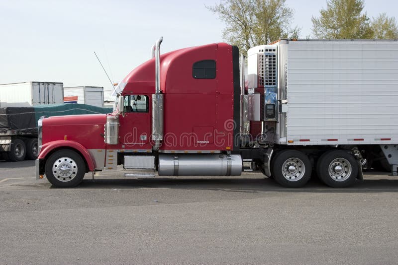 Tractor with trailer stock photo. Image of summer, field - 284297554