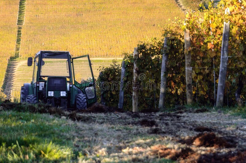 Tractor in the vineyards of barolo piedmont, italy royalty free stock images Tractor in the vineyards of barolo piedmont, italy royalty free stock images