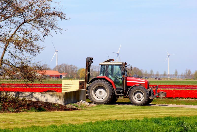 Hoe Heet Een Kerkdienst Waarin Voor De Oogst Gebeden Wordt Tractor Voor De Oogst Van Bollen in De Lente, Nederland Stock Foto