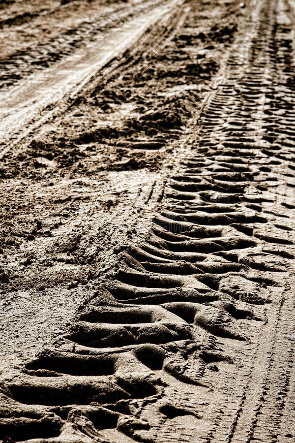 Tractor Wheel Tire Tracks in Dry Mud on Dirt Road