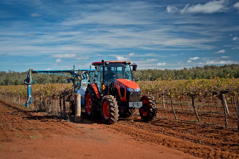 Tractor at Work Maintaining the Vineyards and Plant Crops on a