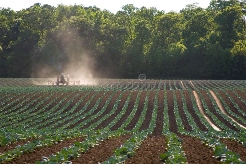Tractor working field stock photography
