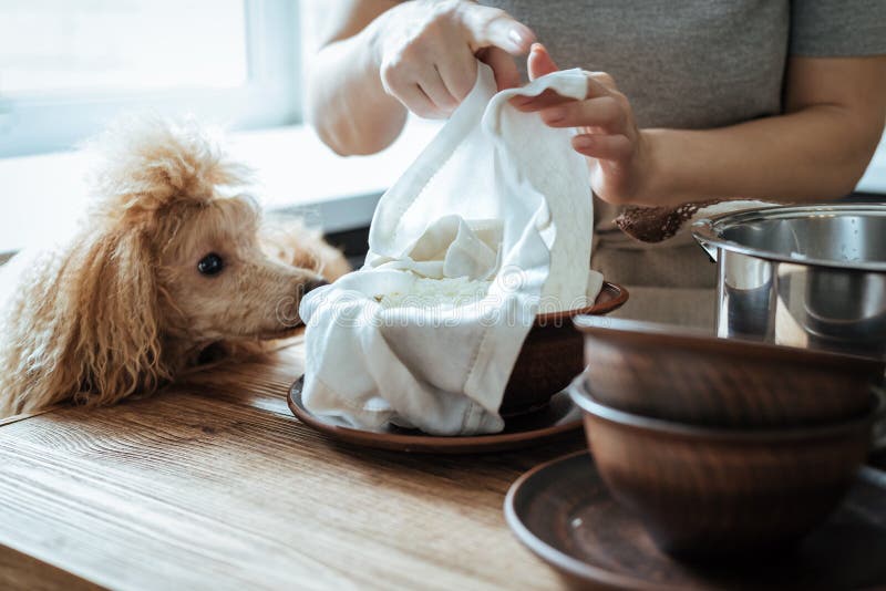 Fazer queijo caseiro em casa, tradicionalmente imagem de stock royalty free