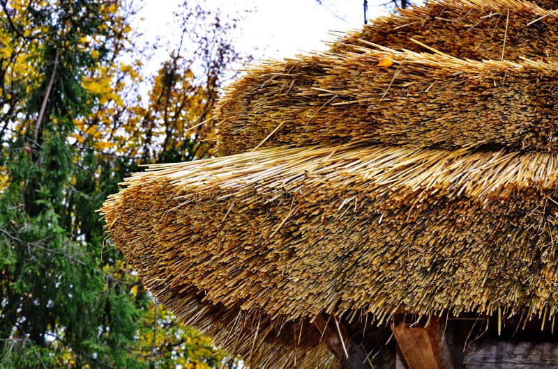 Tradition för ett halmtak arkivbild Tradition för ett halmtak arkivbild