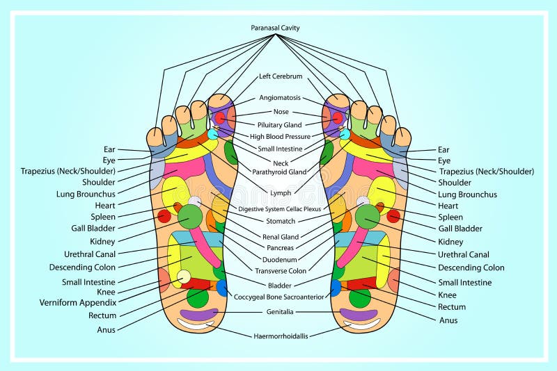 Traditional Alternative Heal, Acupuncture Foot Scheme Stock