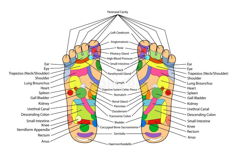 Traditional alternative heal, Acupuncture - Foot Scheme