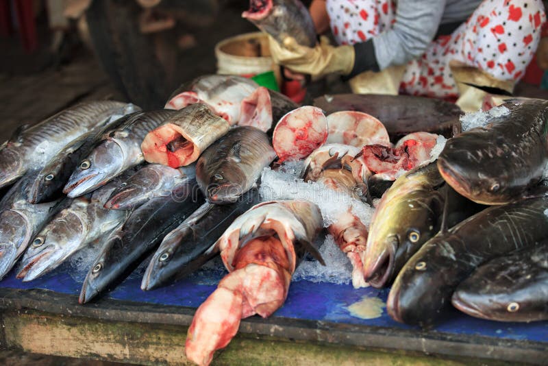 Traditional Asian Fish Market Stock Image Image of fresh, floating