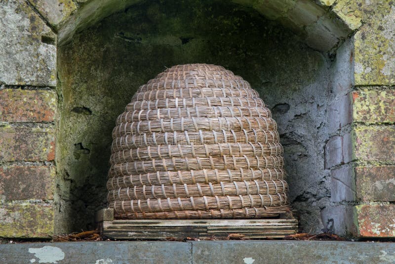 Bee Skep Photos Free Royalty Free Stock Photos From Dreamstime