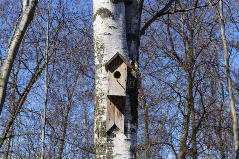 Traditional Birdhouse on a Birch Tree on a Sunny Spring Day Stock Photo