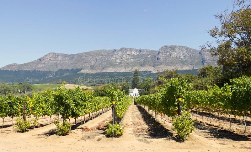 Traditional Cape Dutch homestead