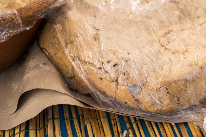 Traditional Cheese with Worms. Banned and Illegal Cheese with Flies and