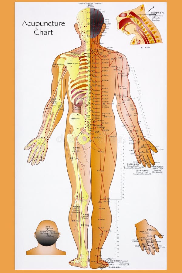 Acupuncture Hand Chart