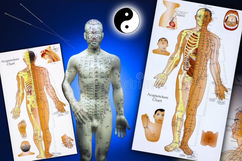 Traditional Chinese Acupuncture Chart Editorial Stock Photo Image of