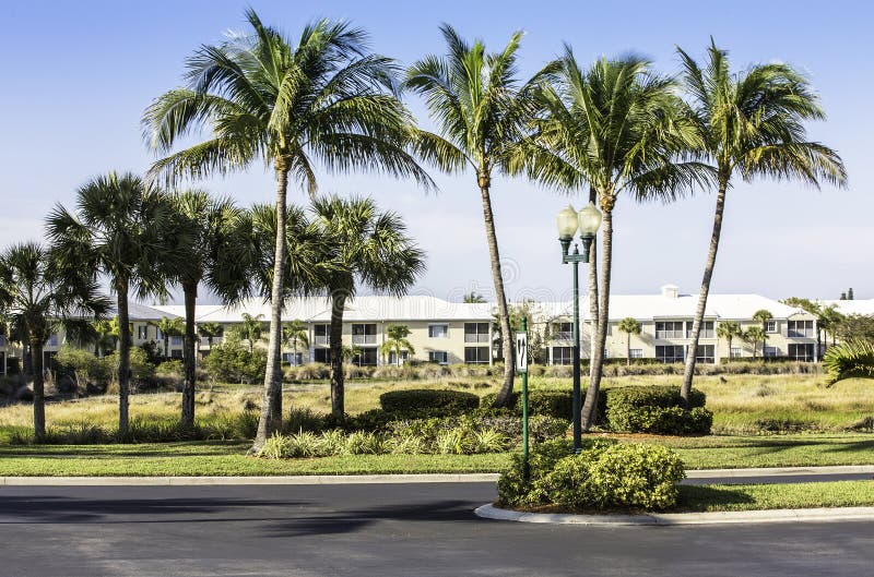 Sawgrass Mills Mall Sunrise Florida Scene Photo Editorial Photography -  Image of shopping, court: 153158162