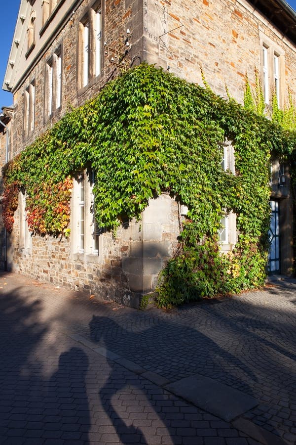 Traditional corner house covered in ivy