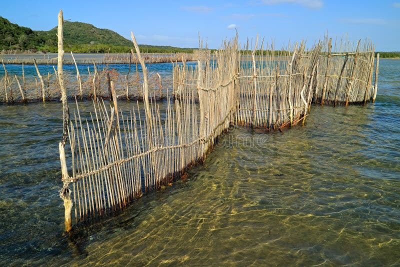 Traditional fish trap - Kosi Bay
