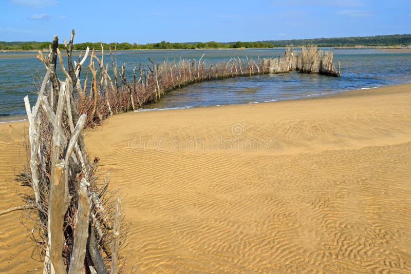 Traditional fish trap - Kosi Bay