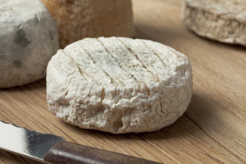 French Goats cheese stock image. Image of french, moult 15886847