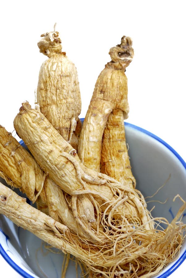 Traditional Ginseng Herb 02 Stock Photo Image of food, herbal 9701024