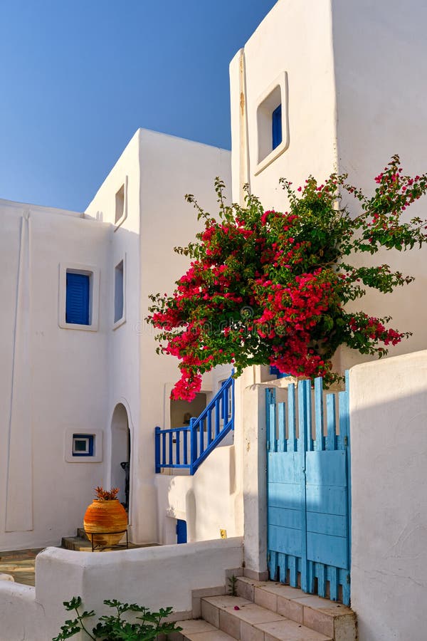 Whitewashed walls of Greek house, blue windows, bougainvillea, blue sky.