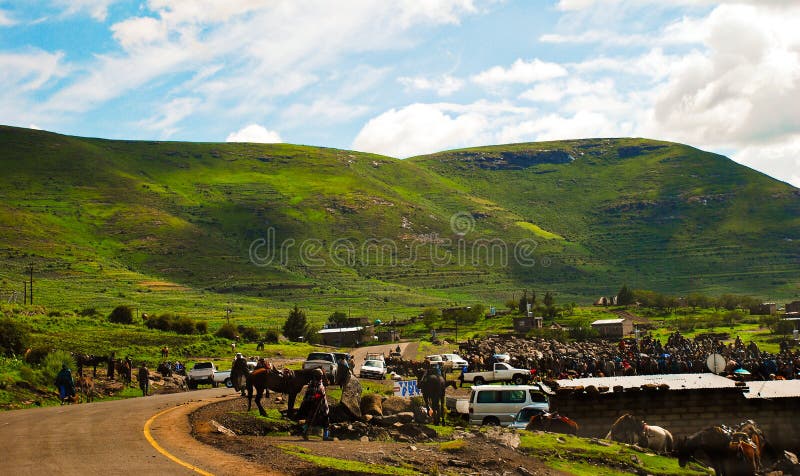 Makoloane Video Download - Donkeys Lesotho Stock Photos - Free & Royalty-Free Stock Photos from  Dreamstime