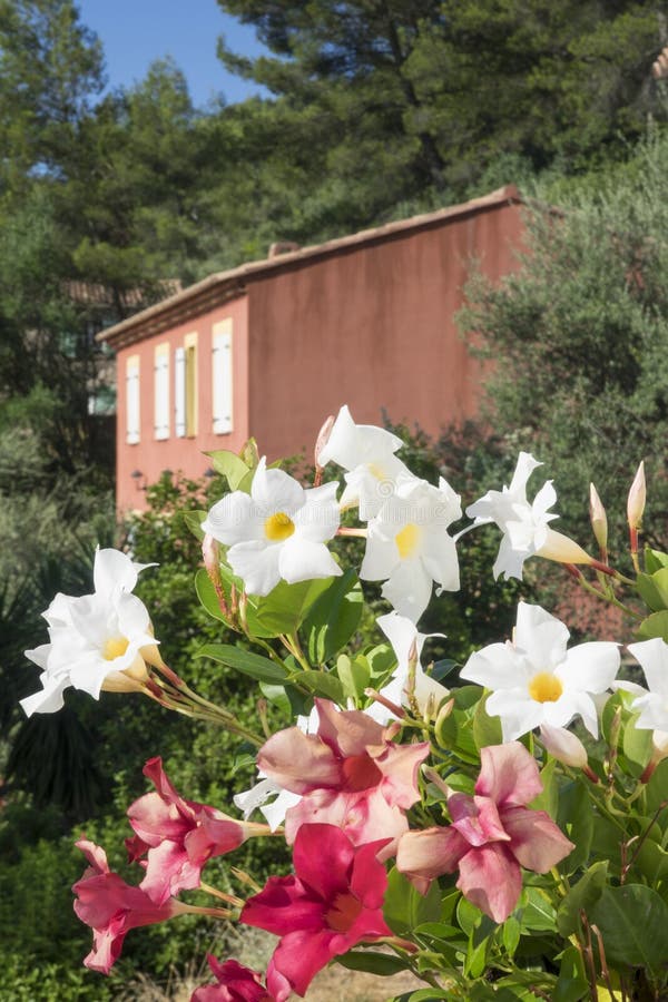 Traditional house in the Toulon region, in the south of France stock photography Traditional house in the Toulon region, in the south of France stock photography
