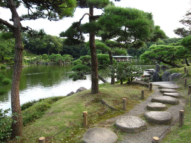 Traditional Japanese stroll garden with Japanese Black Pine trees