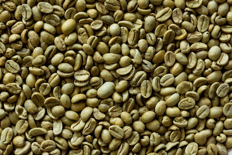 Green beans stock photo. Image of mungbean, group, food 32890194